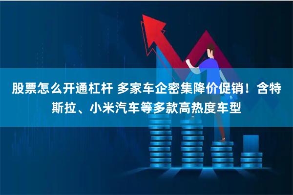 股票怎么开通杠杆 多家车企密集降价促销！含特斯拉、小米汽车等多款高热度车型