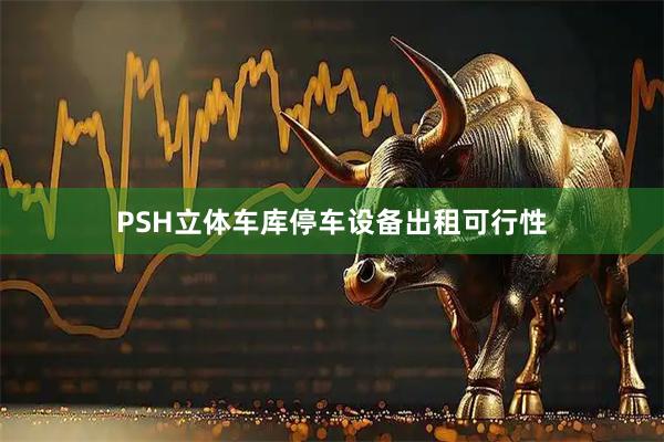 PSH立体车库停车设备出租可行性