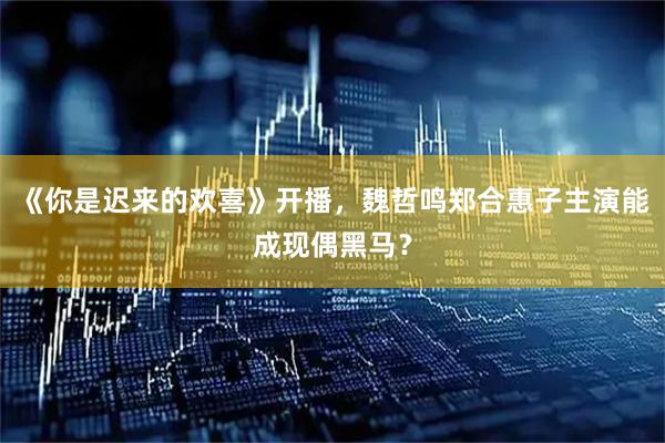 《你是迟来的欢喜》开播，魏哲鸣郑合惠子主演能成现偶黑马？