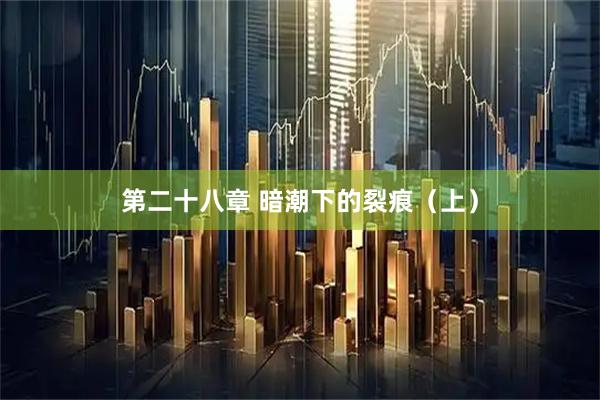 第二十八章 暗潮下的裂痕（上）